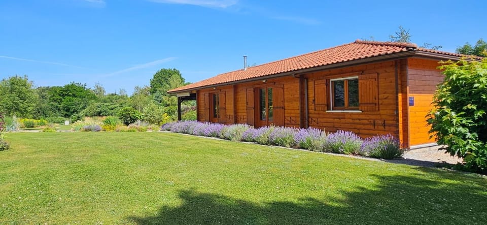Chalet au cœur d'un magnifique parc arboré - Limousin-Country chalet House in Nouvelle-Aquitaine