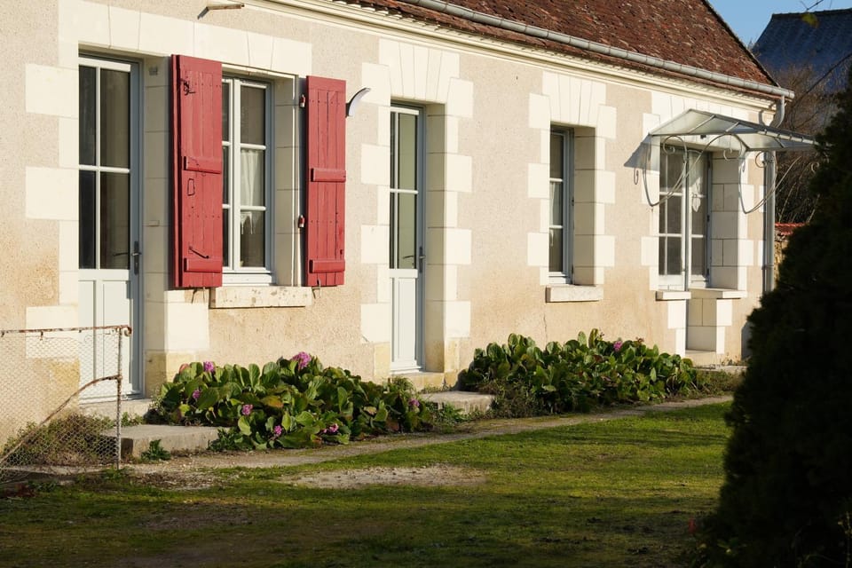 Property building, Garden view