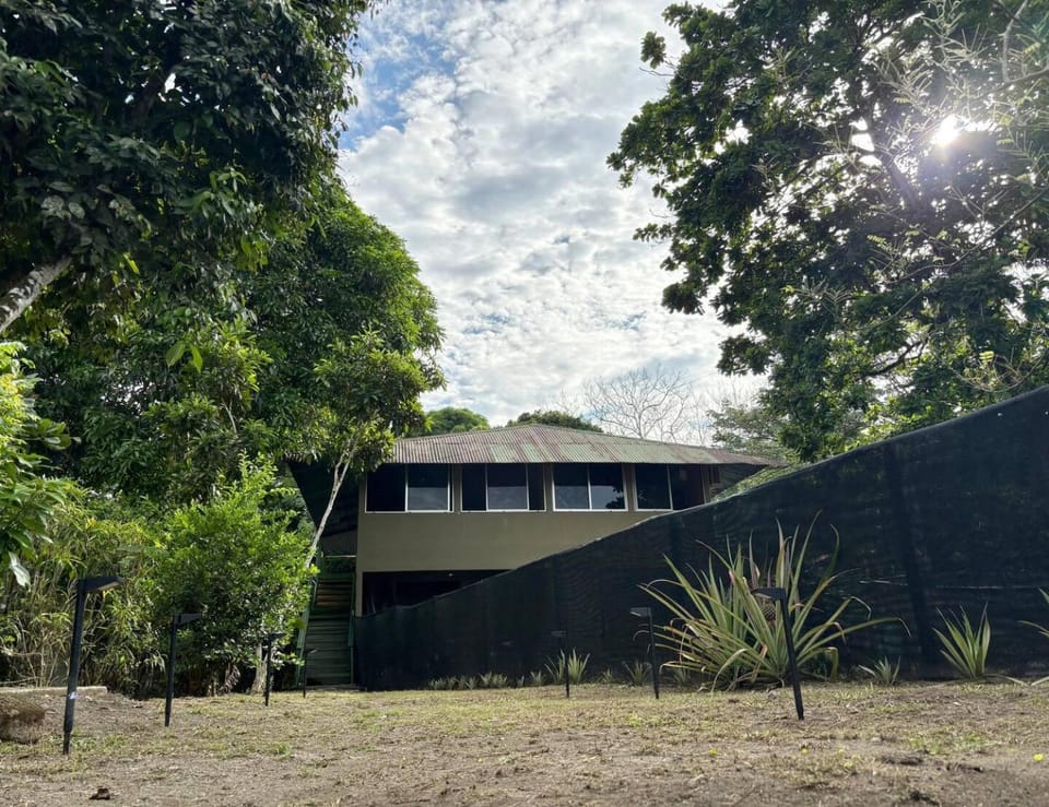 Property building, Day, Natural landscape, Garden, Garden view