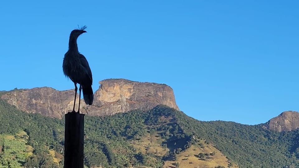 Landmark view