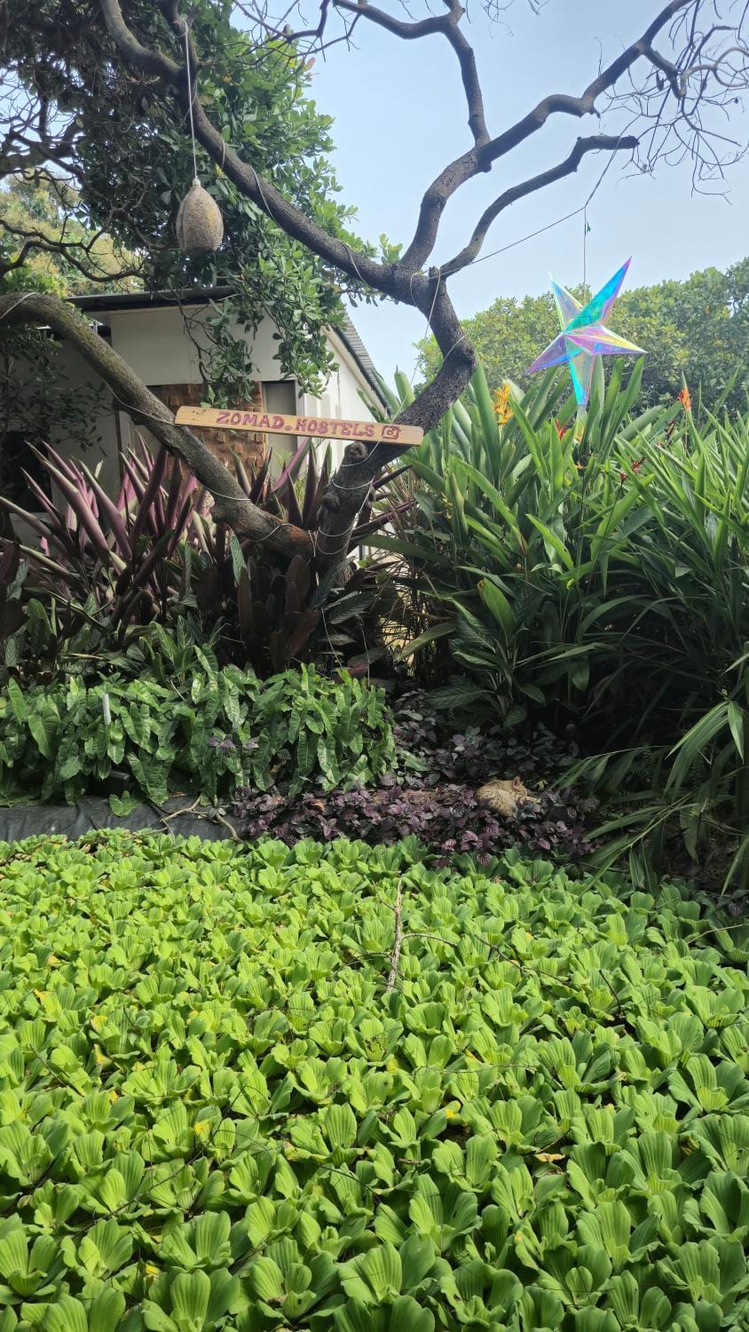 Zomad Hostels Pondicherry, Auroville Road Hostel in Puducherry, India
