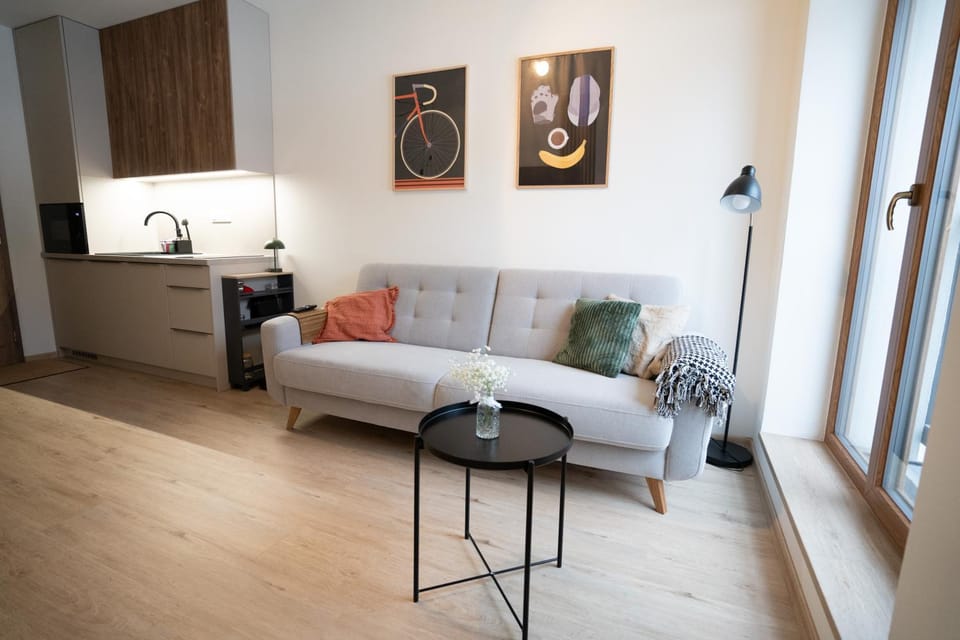 Living room, kitchen