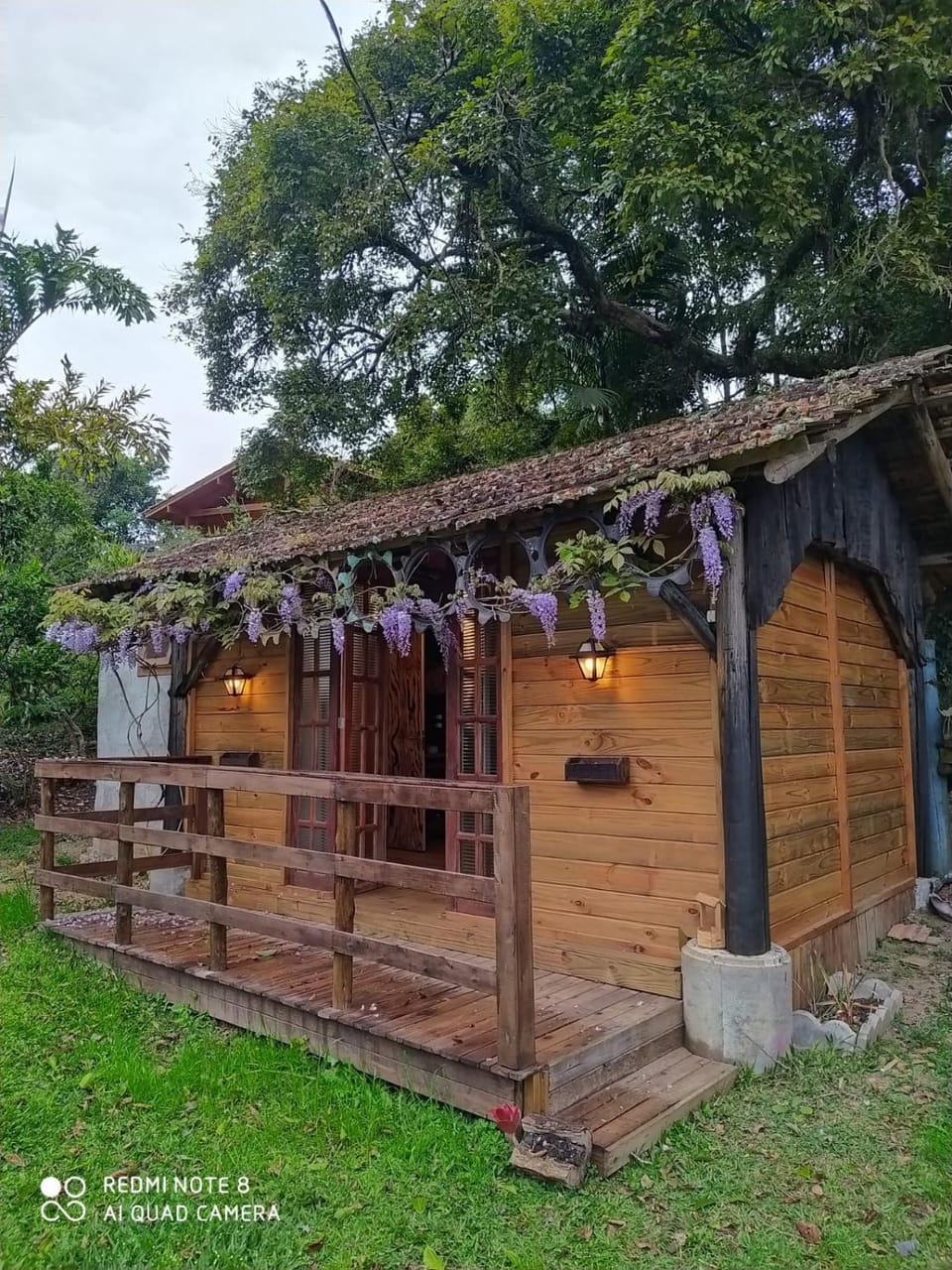 Property building, Spring, Garden view