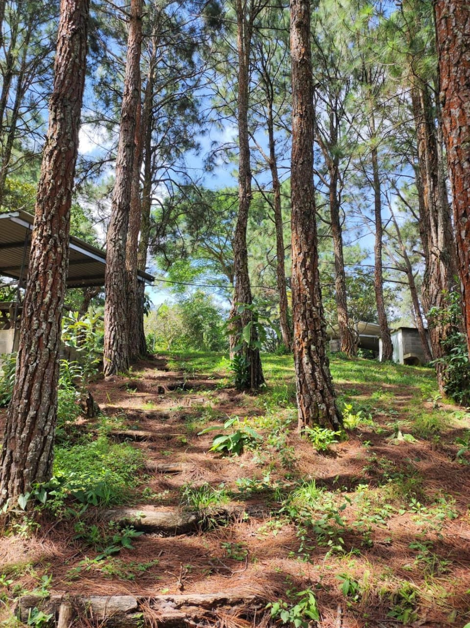 Off site, Natural landscape