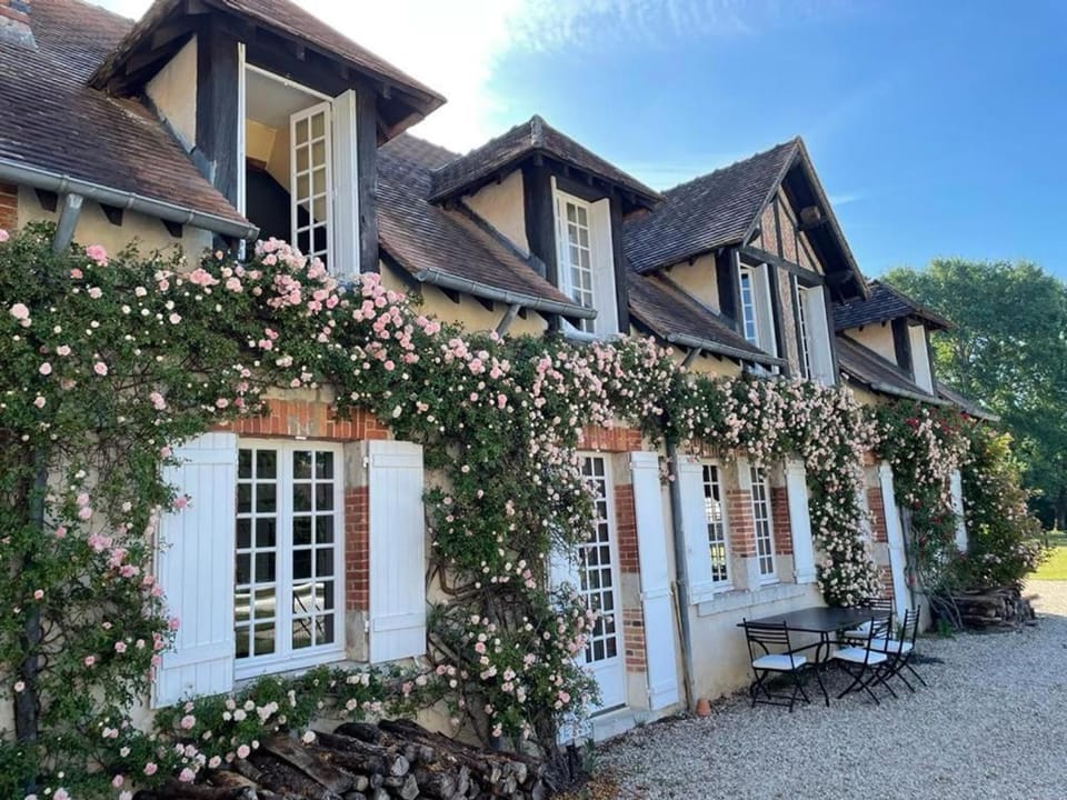 Évasion Sologne : Maison de charme, piscine privée, animaux permis - FR-1-590-556 House in Centre-Val de Loire