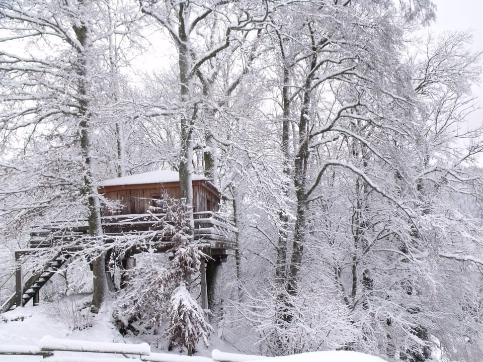Cabane perchée avec terrasse, sauna et BBQ à Ferdrupt - FR-1-589-770 Chalet in Vosges