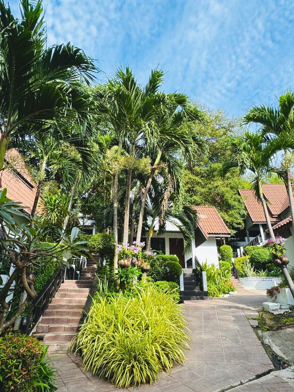 Day, Garden, Garden view