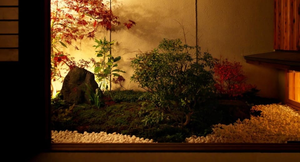 Night, Garden, Garden