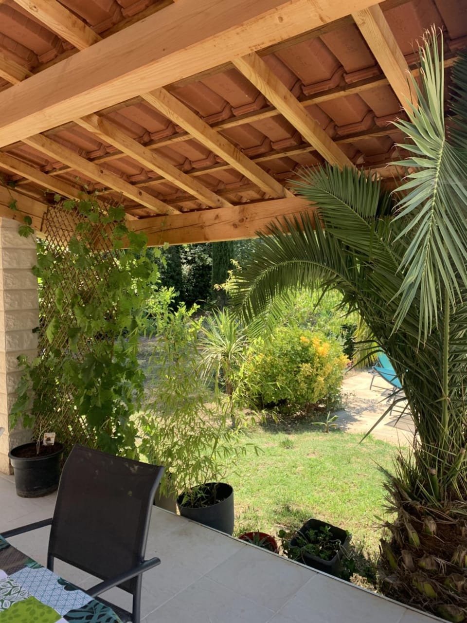 Patio, Garden