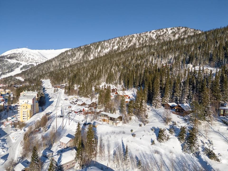 Bird's eye view, Winter