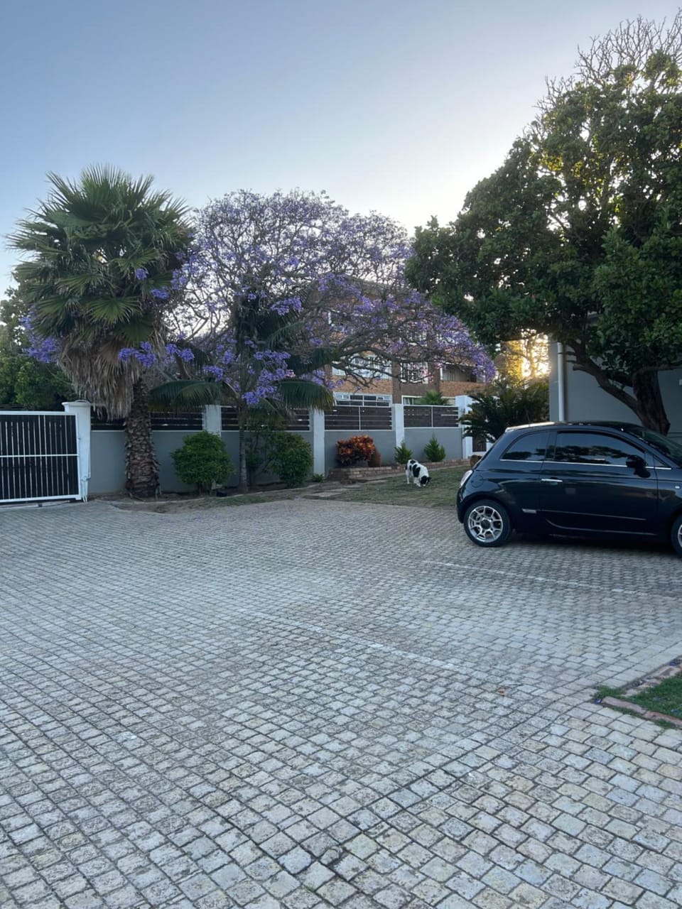 13 on Newington Bed and Breakfast in Port Elizabeth