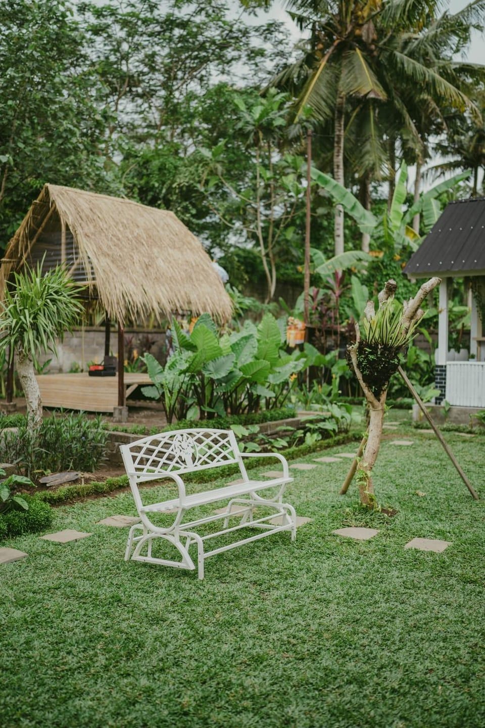 Natural landscape, Garden, Garden
