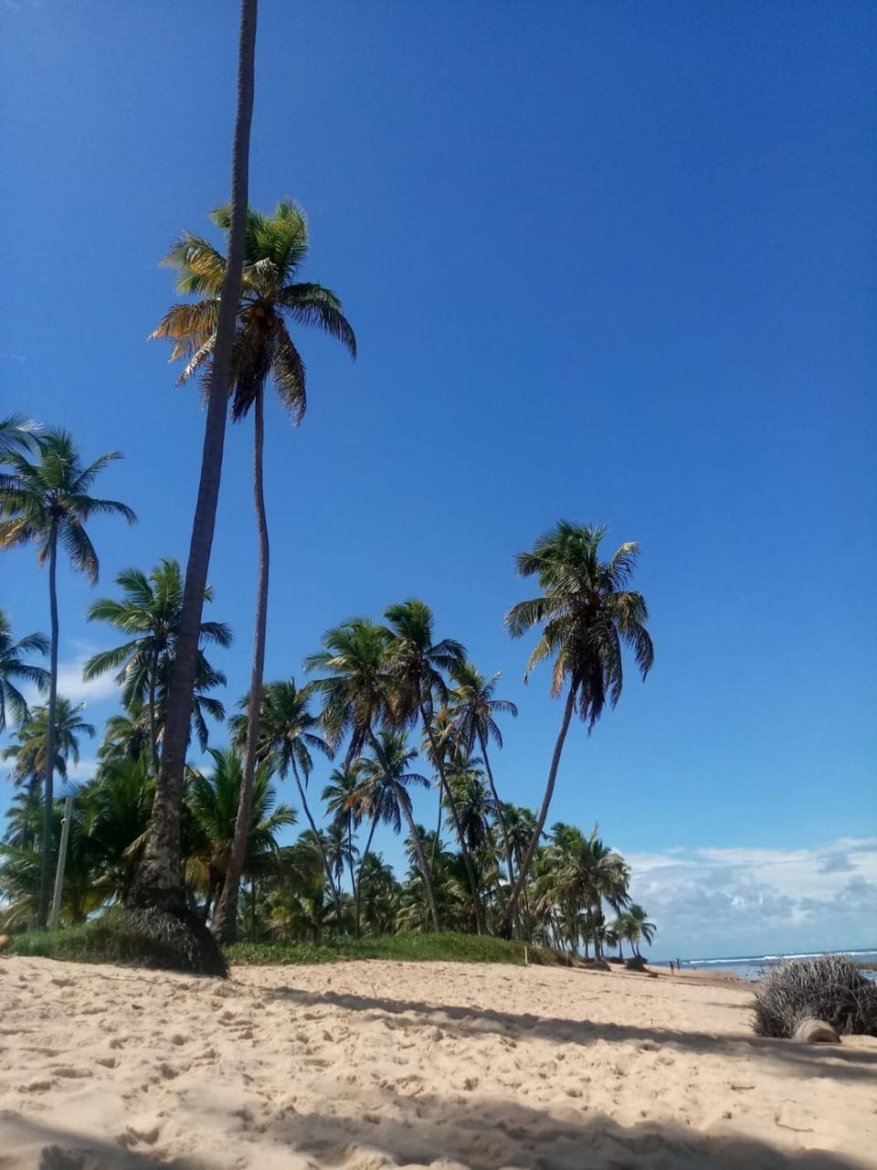 Nearby landmark, Natural landscape, Beach