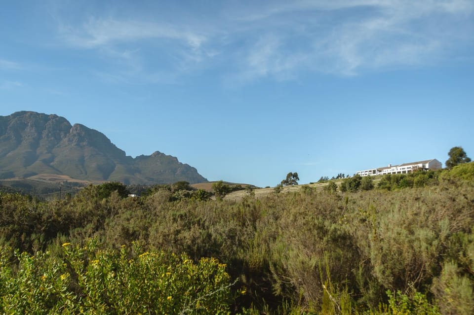 Stellenbosch Luxury Apartments Apartment in Stellenbosch