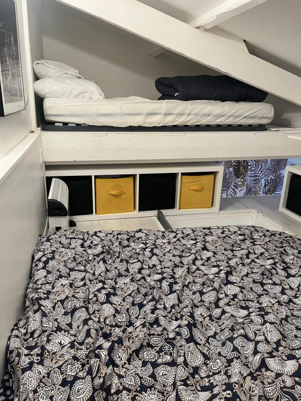 Bed, Photo of the whole room, Bedroom, bunk bed