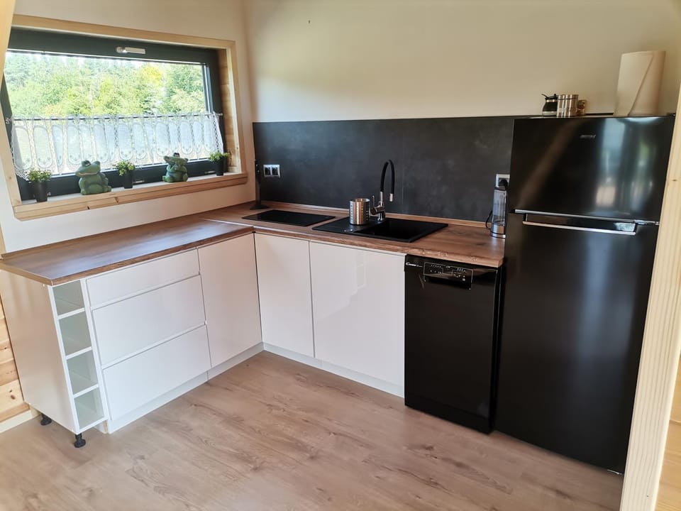 Kitchen or kitchenette, dishwasher, oven, pet friendly, stove