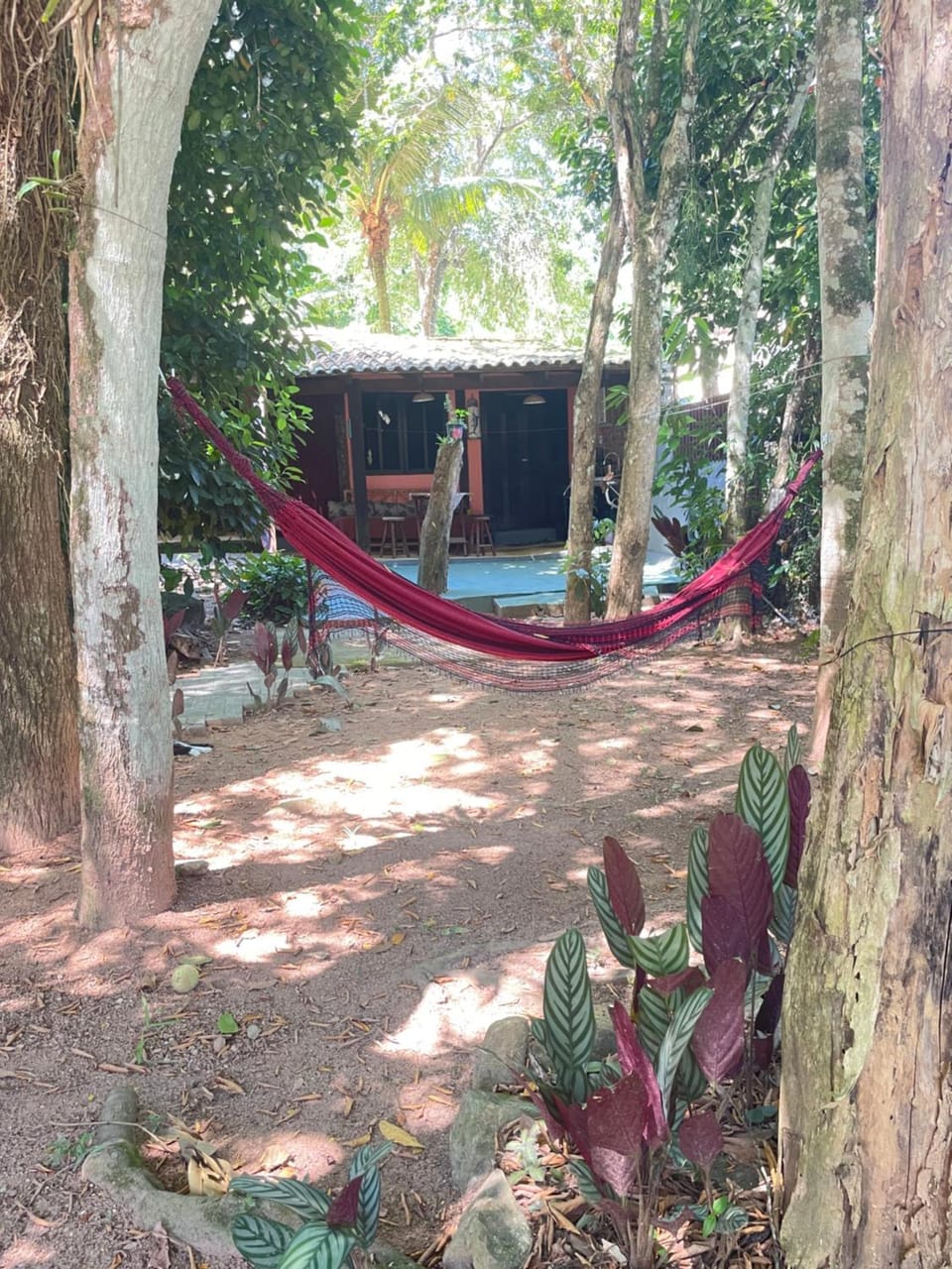 Chalé do Bosque Ilhabela Bed and Breakfast in Ilhabela