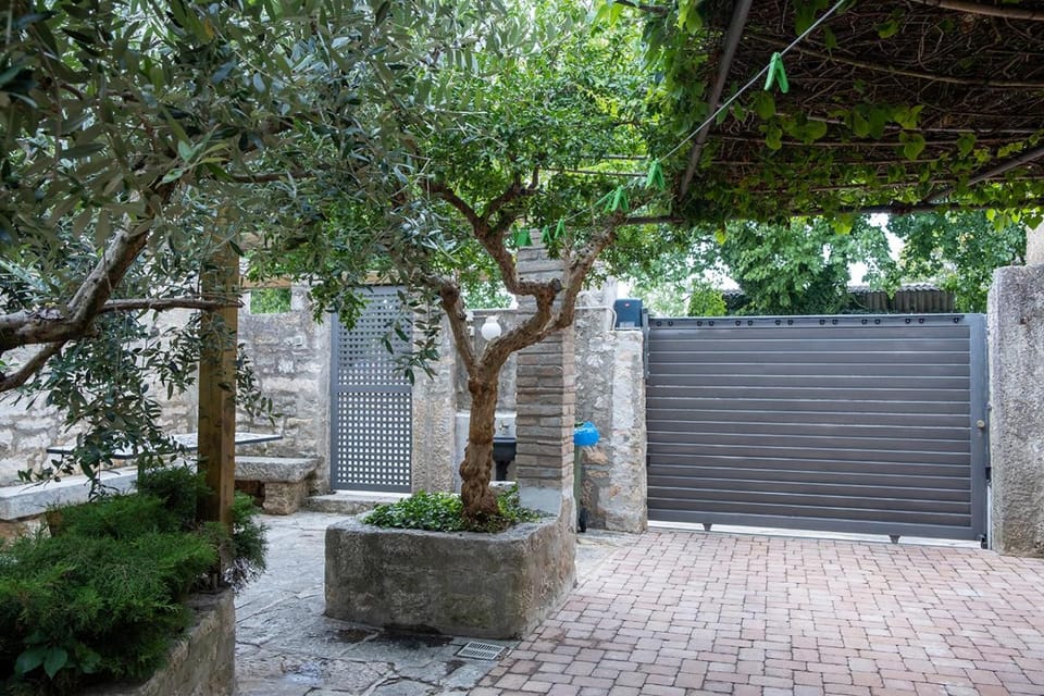 Garden, Parking