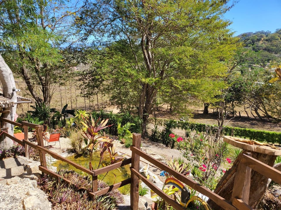 Garden view