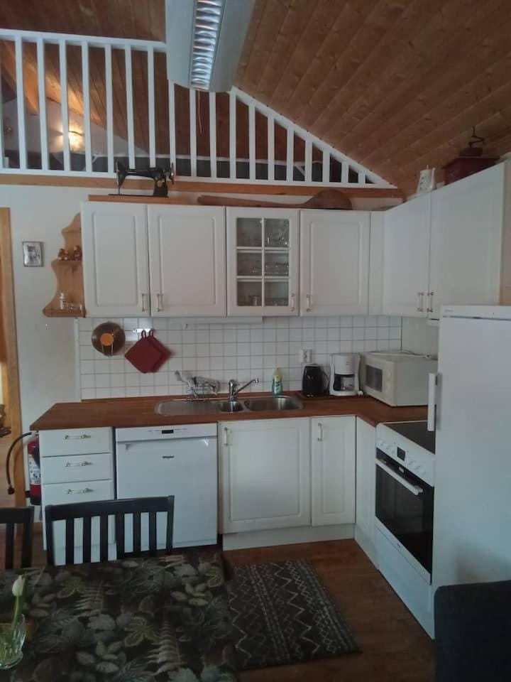 Kitchen or kitchenette, dishwasher, stove, toaster