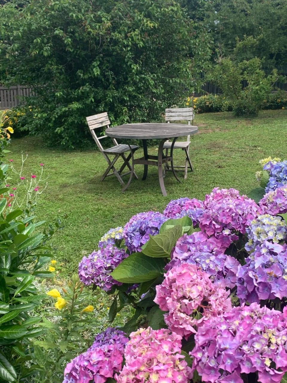 Garden, Dining area