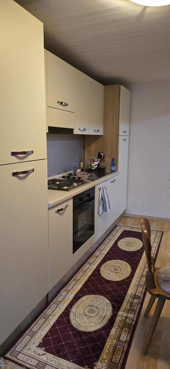 Kitchen or kitchenette, dishwasher, oven, stove
