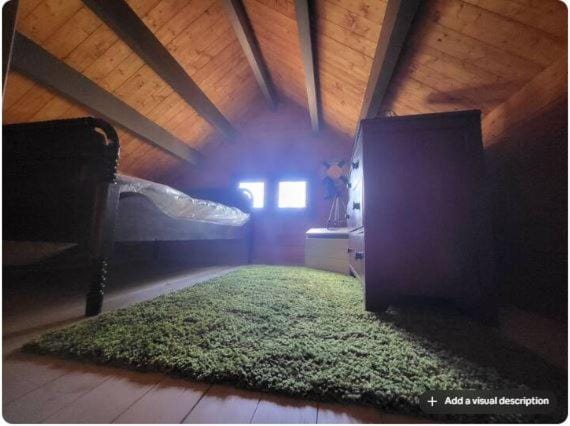 Shelley' Bay Bunkie 1 House in Central Frontenac
