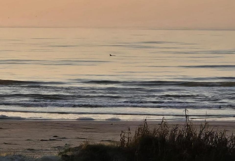 Natural landscape, Beach, Sea view, Sunrise, Sunset