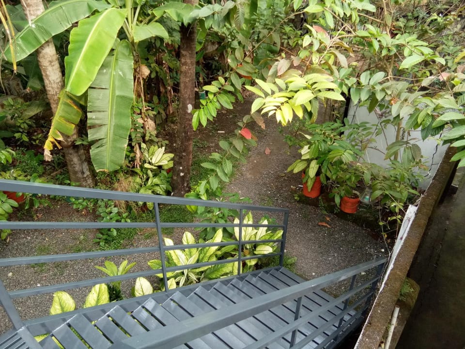 Coconut Grove Vacation rental in Kochi
