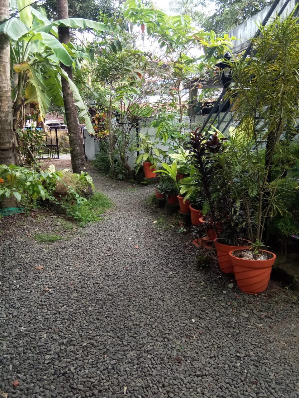 Coconut Grove Vacation rental in Kochi