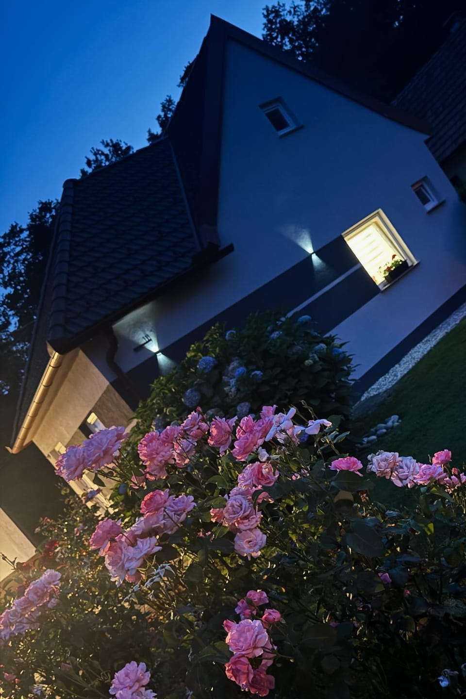 Property building, Night, Garden, Garden view