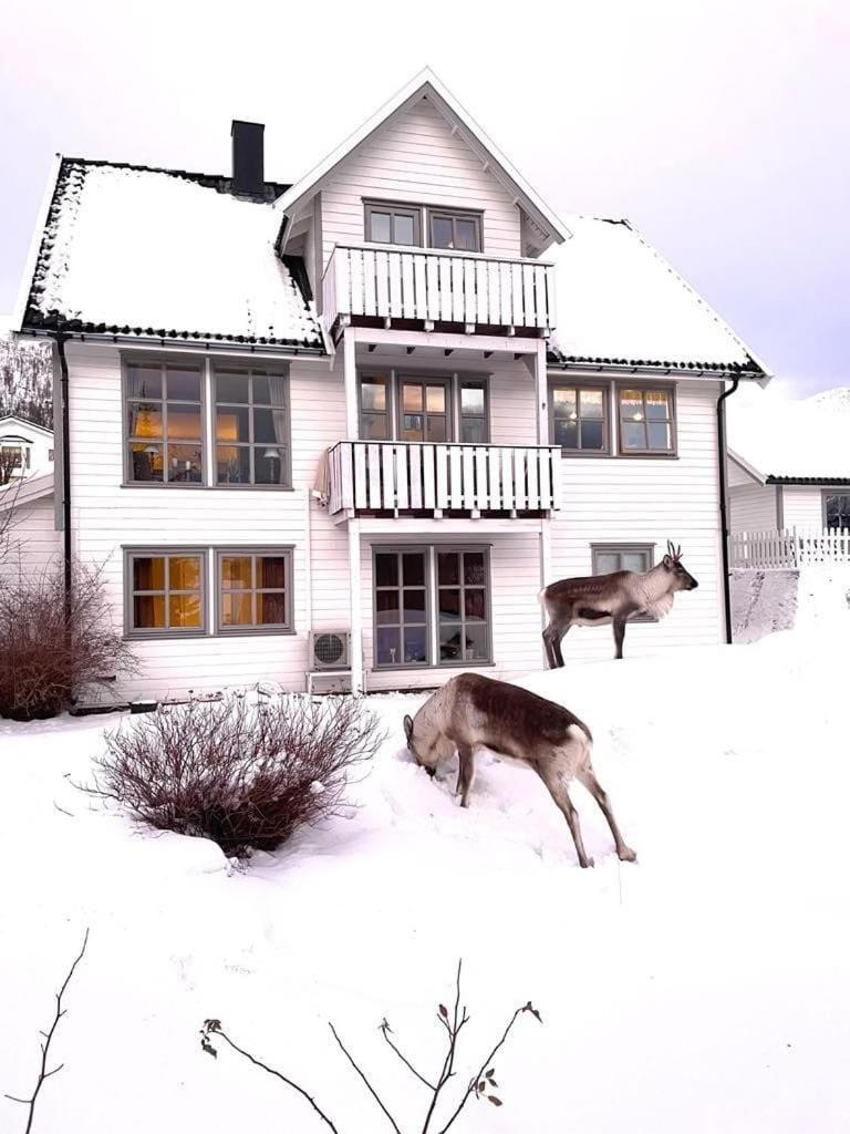 Modells aurora apartment with 2 bedroom Apartment in Tromso