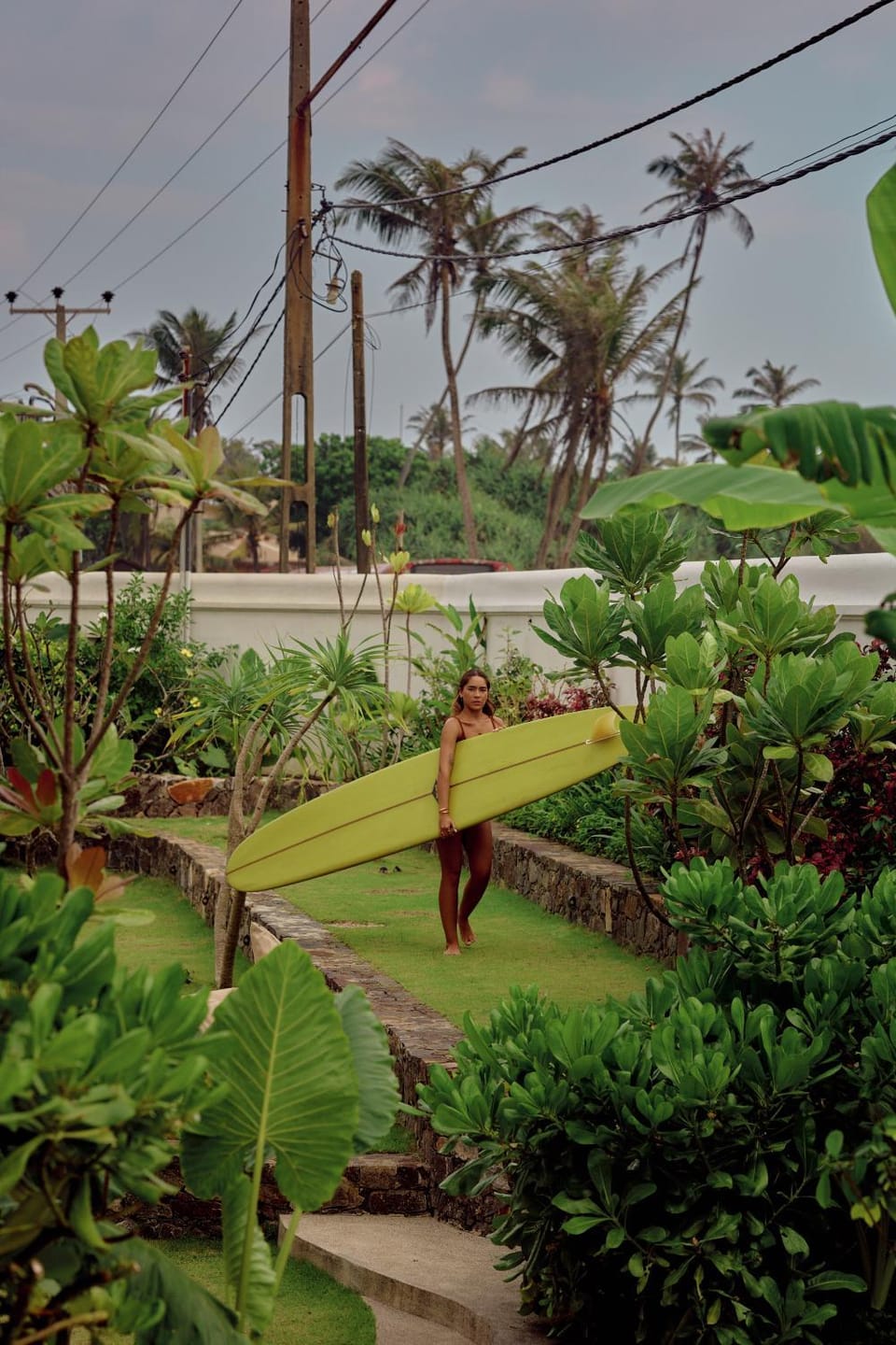 Day, Garden, Garden view
