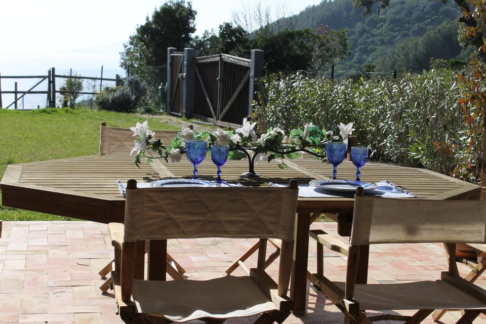 Patio, Day