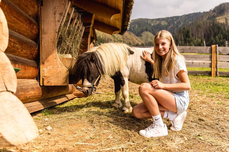 Animals