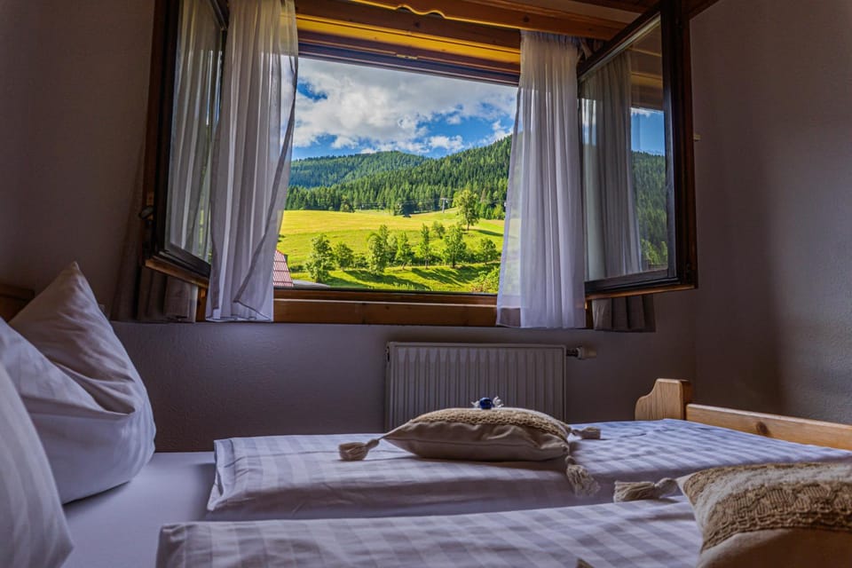Bedroom, Mountain view