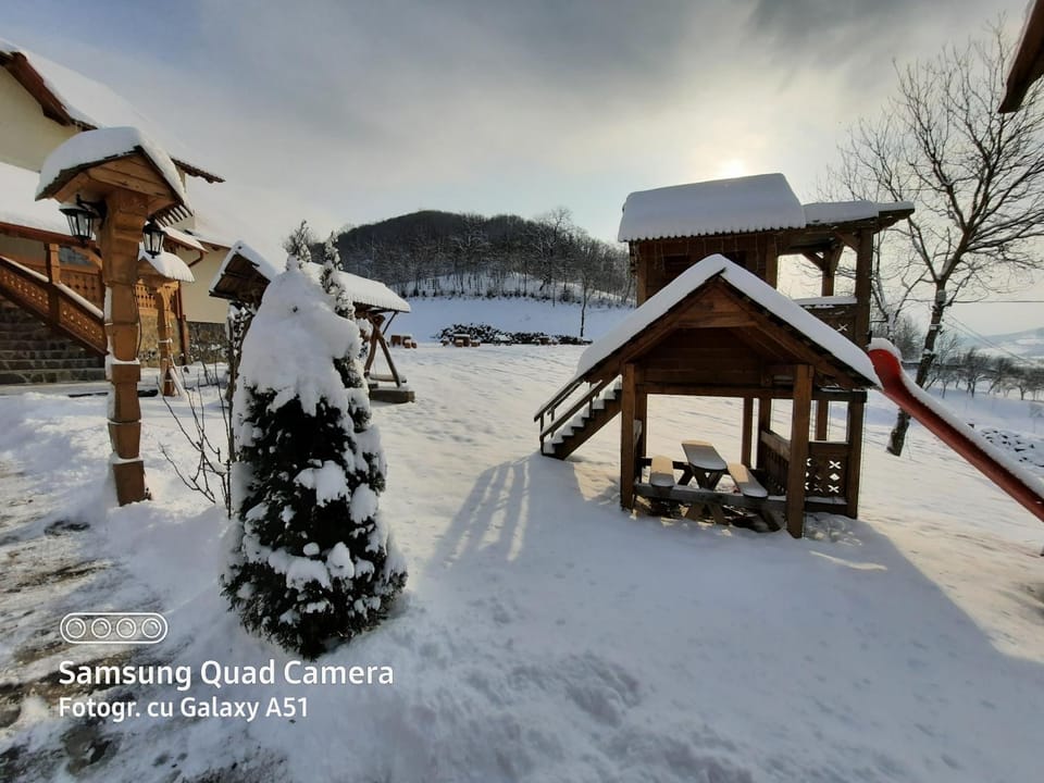 Pensiunea Valea Branzei Bed and Breakfast in Romania