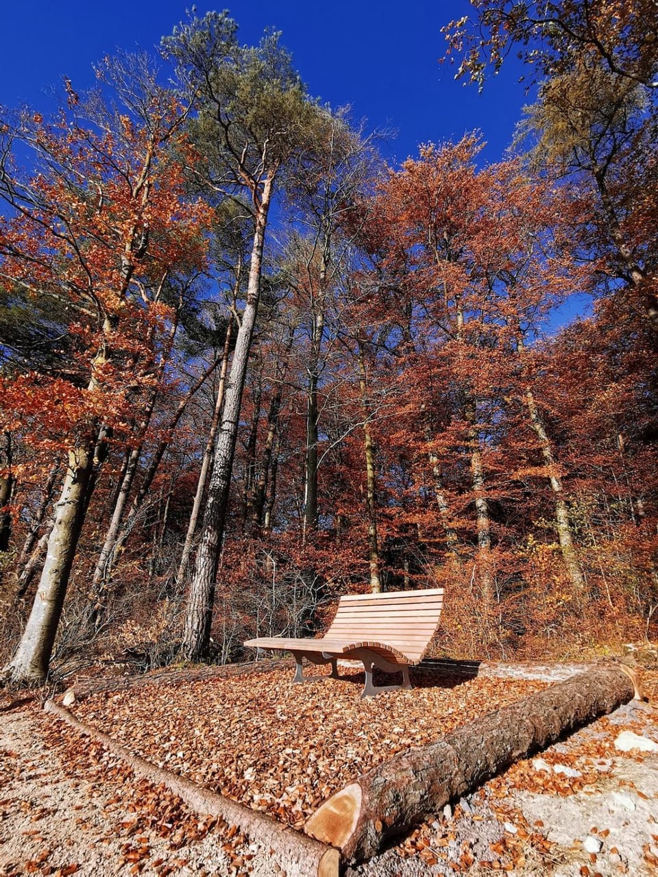 Natural landscape