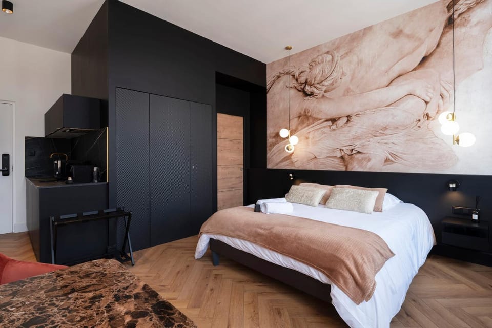 Les perchoirs de Stanislas 2 - logement de standing hyper centre Apartment in Nancy