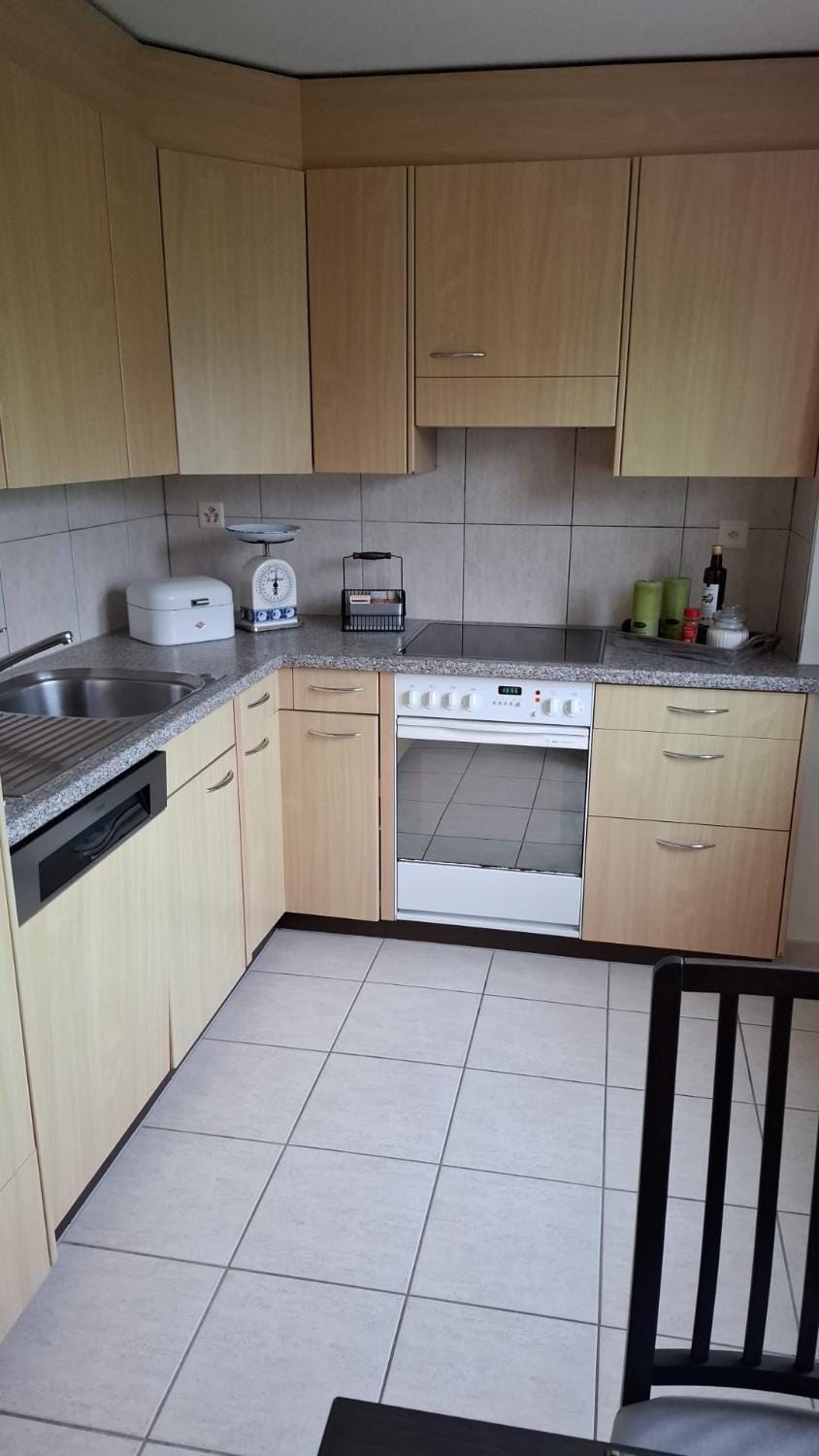 Kitchen or kitchenette, dishwasher, stove