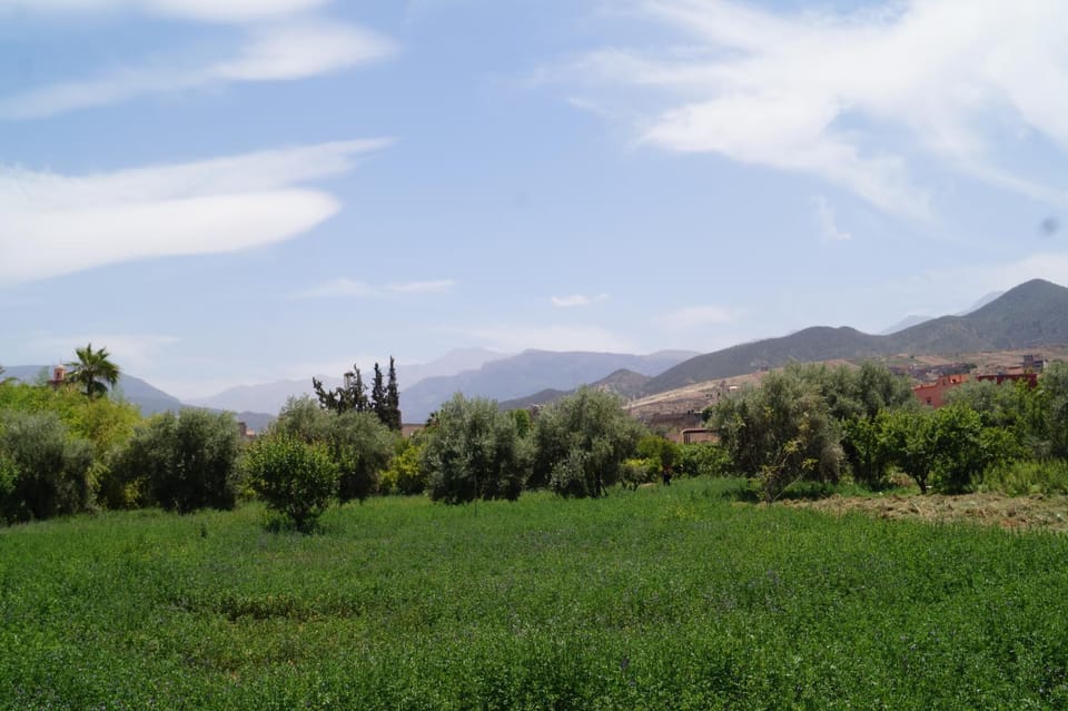Garden, Mountain view