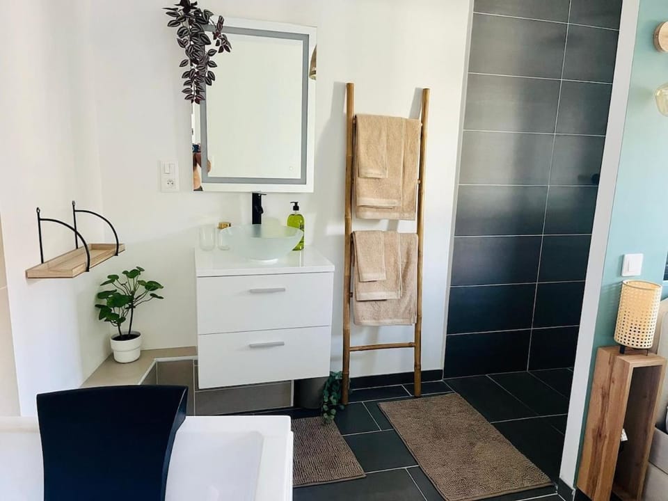 Le Cocon des Rives Apartment in Nancy