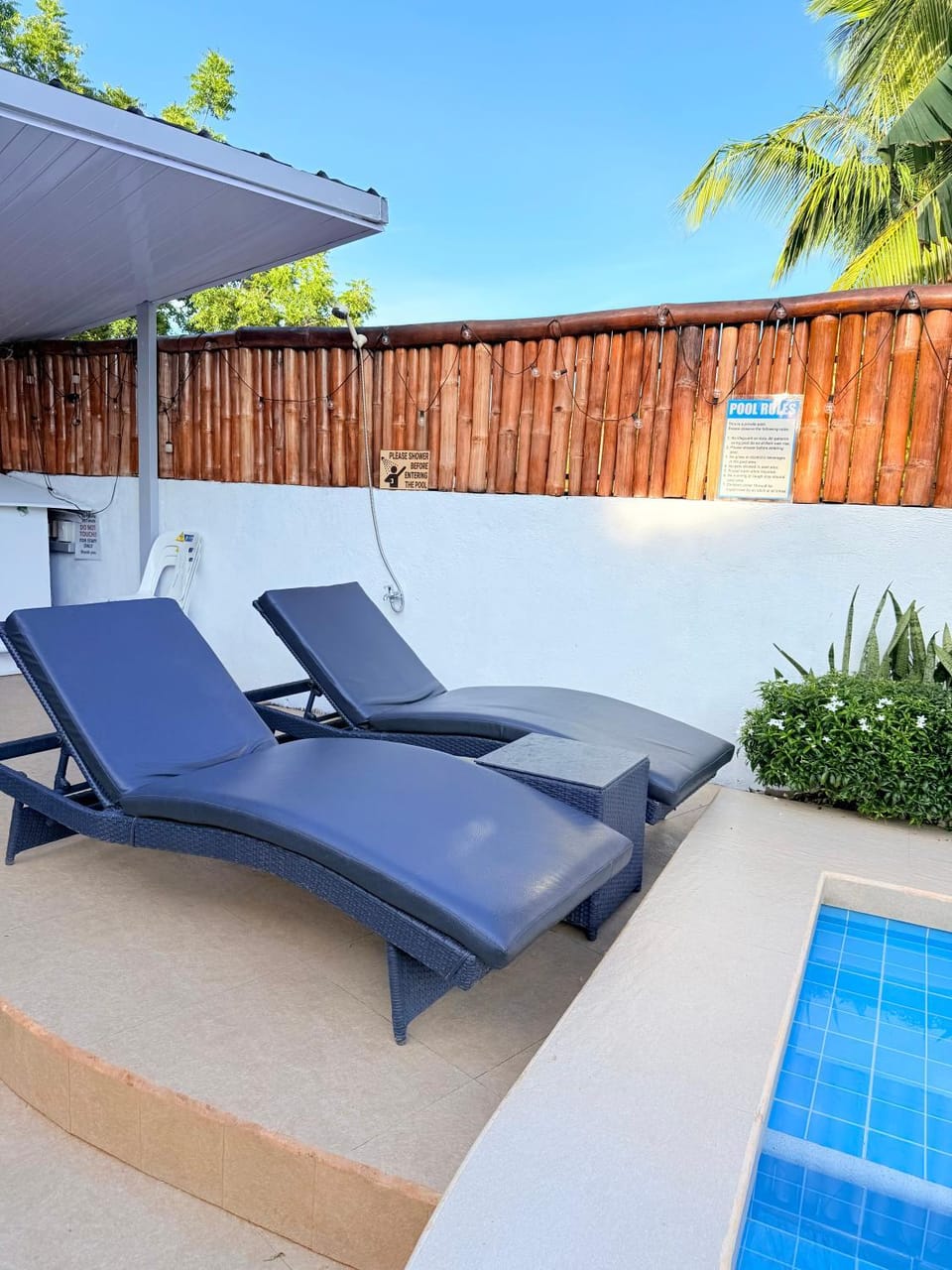 Pool view, sunbed