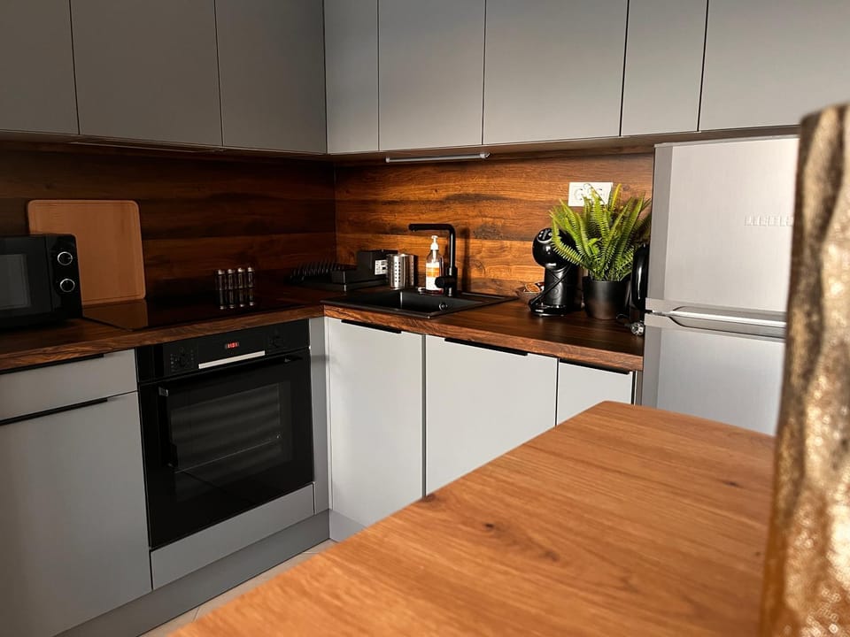 Kitchen or kitchenette, dishwasher, toaster