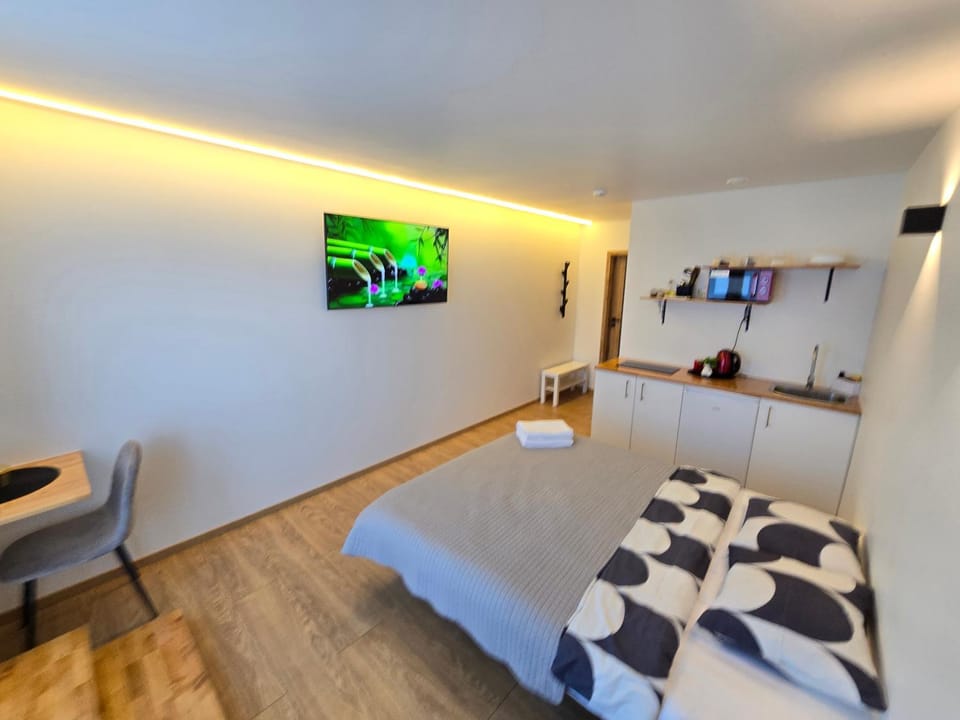 T1 Bamboo apartament Apartment in Klaipėda