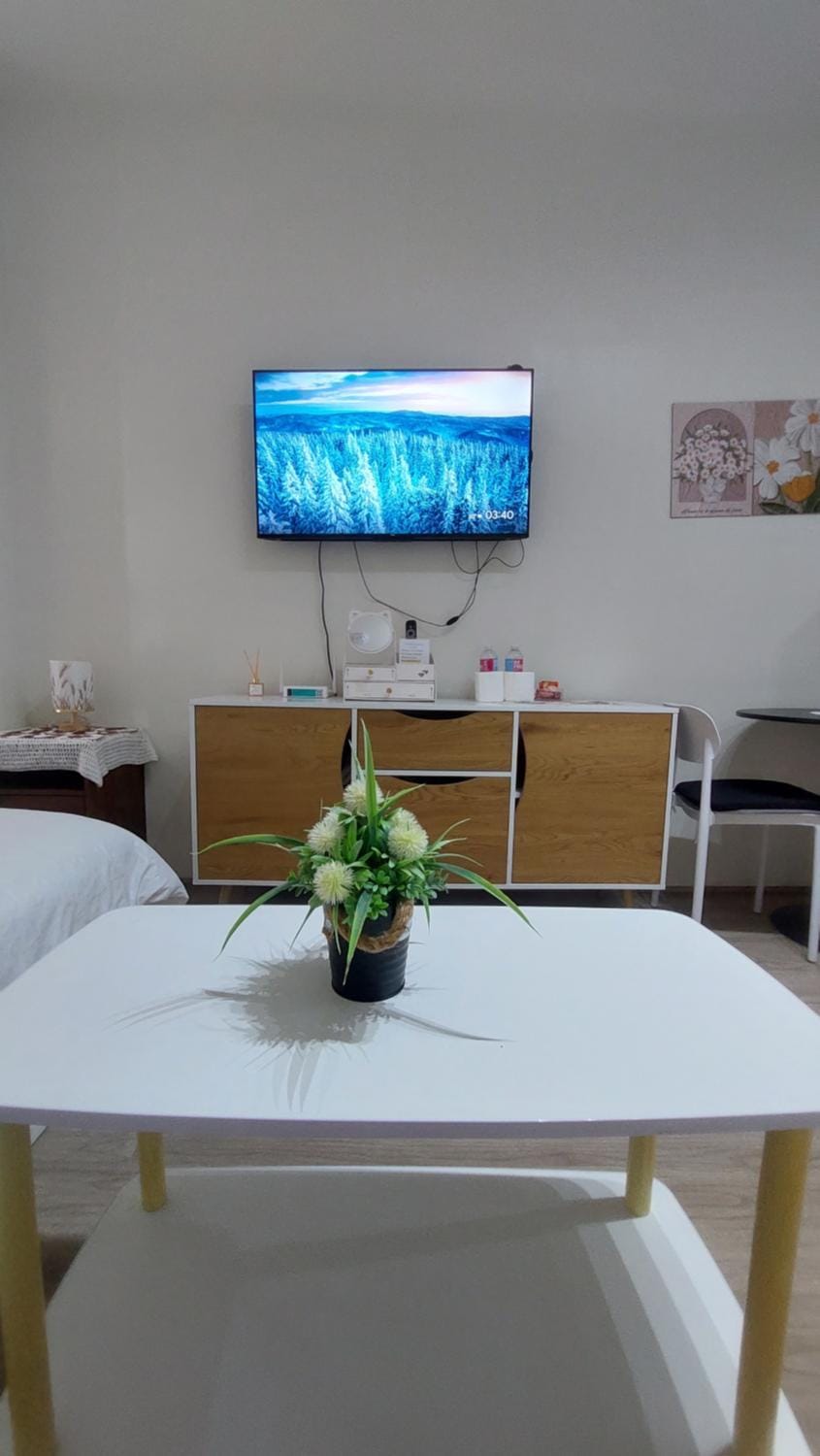 Studio Condo Fully Furnished-near IT Park Apartment in Lapu-Lapu City