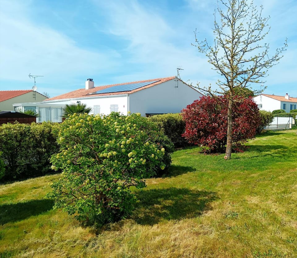 Patio, Garden, Garden view
