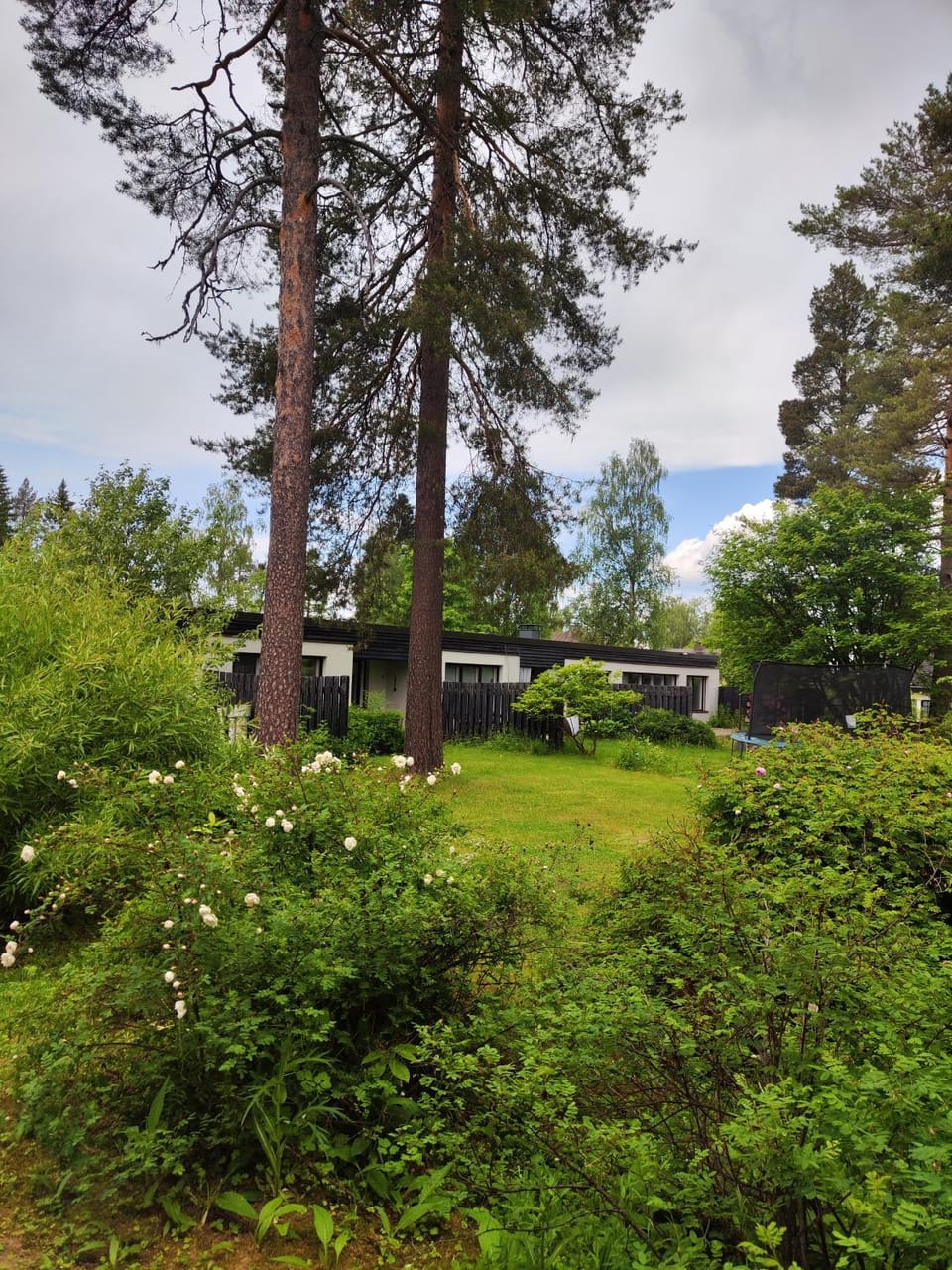 Garden view