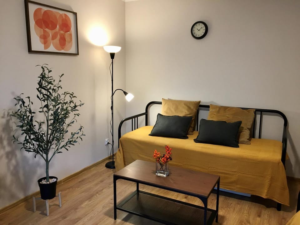 Bed, Living room, Photo of the whole room, Seating area