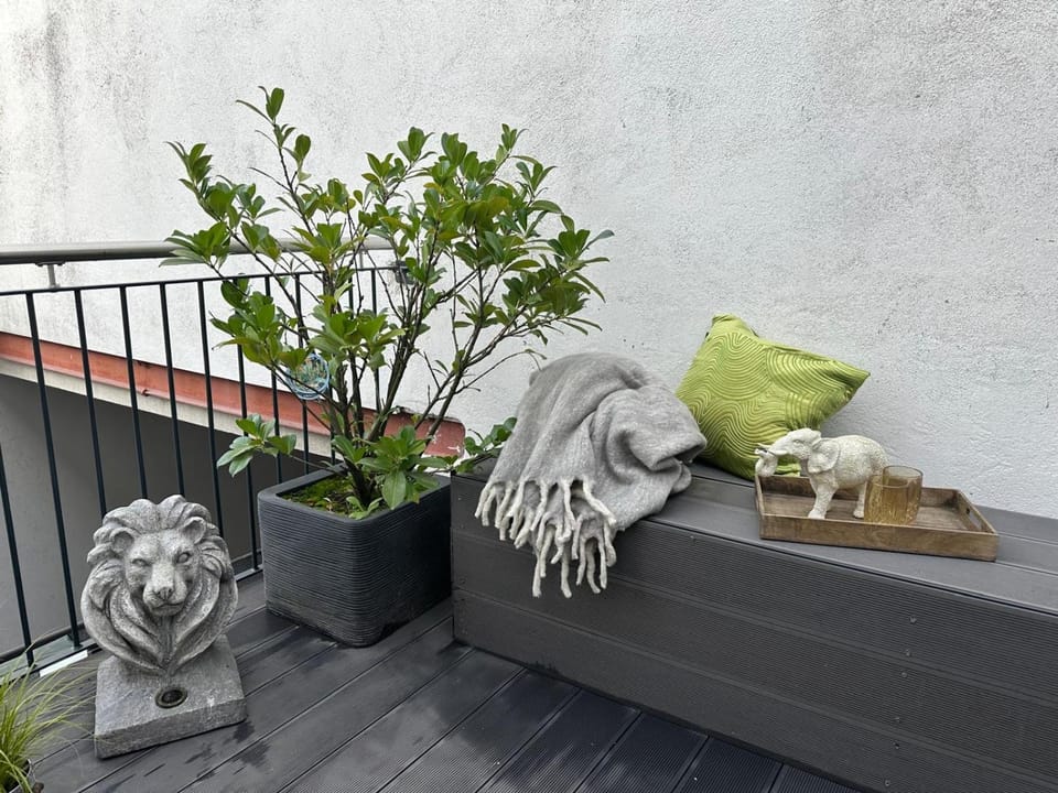 Downtown No 3 Apartment in Hesse